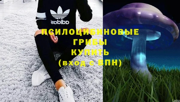 таблы Иннополис