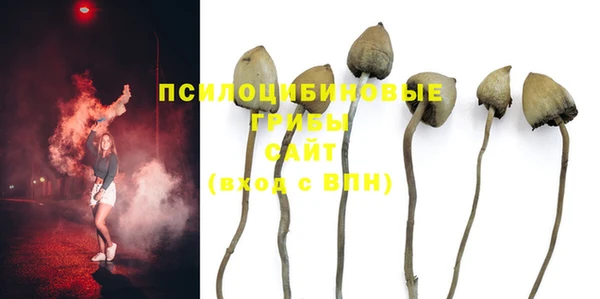 таблы Иннополис