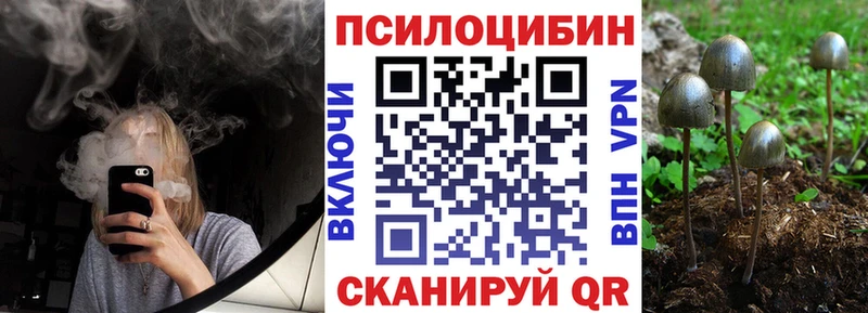 Псилоцибиновые грибы GOLDEN TEACHER  Кызыл 