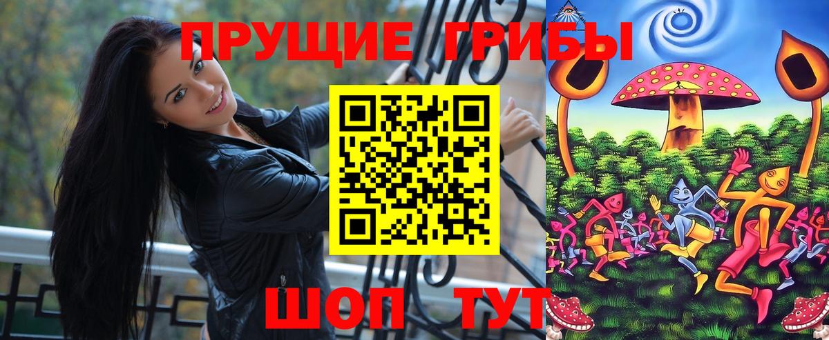 Псилоцибиновые грибы GOLDEN TEACHER Кызыл